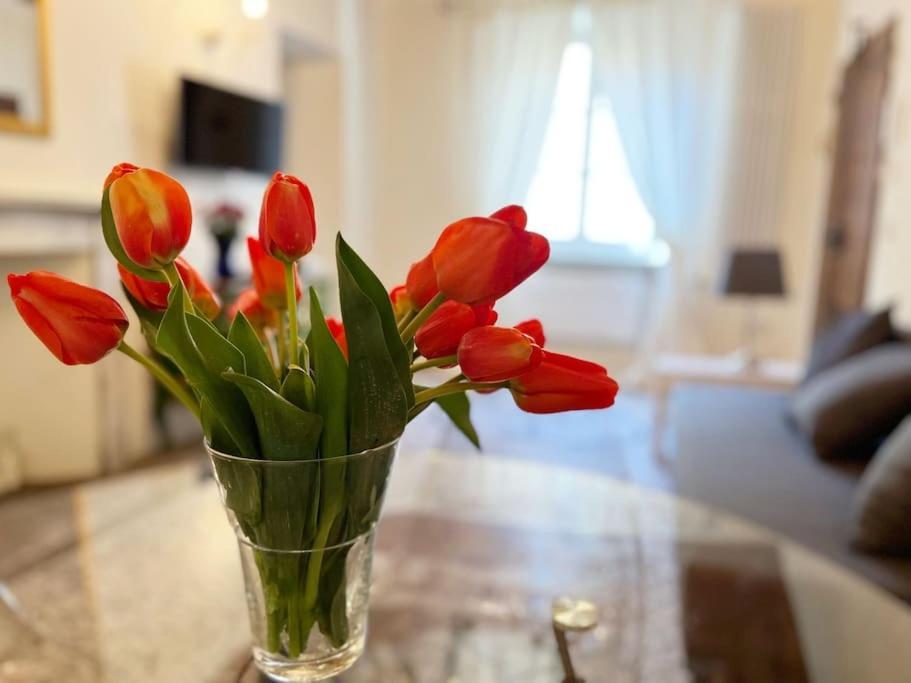 Il Canto De' Cenci Apartment Arezzo