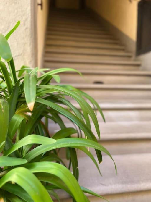 Il Canto De' Cenci * Arezzo