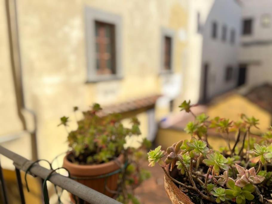 Il Canto De' Cenci Apartment